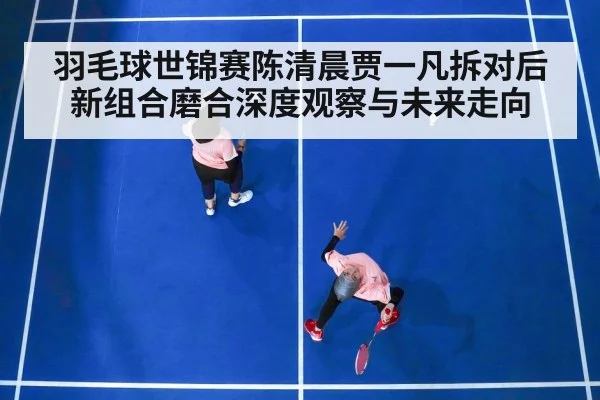 羽毛球世锦赛陈清晨贾一凡拆对后新组合磨合深度观察与未来走向